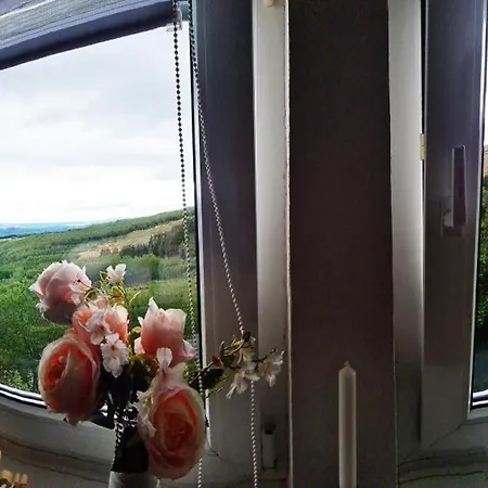 Apartamento Dorfliebe Doernberg Waldblick Bestwig