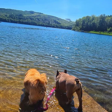 Dorfliebe Doernberg Waldblick *