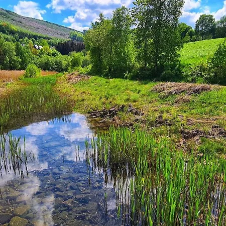 Lejlighed Waldblick Dorfliebe Doernberg Bestwig