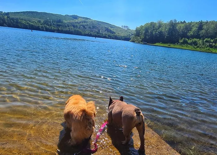Dorfliebe Doernberg Waldblick *