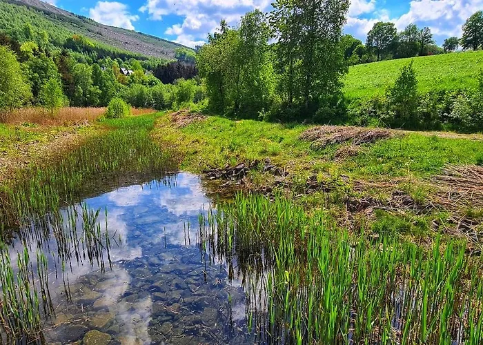 公寓 Dorfliebe Doernberg Waldblick 贝斯特维格