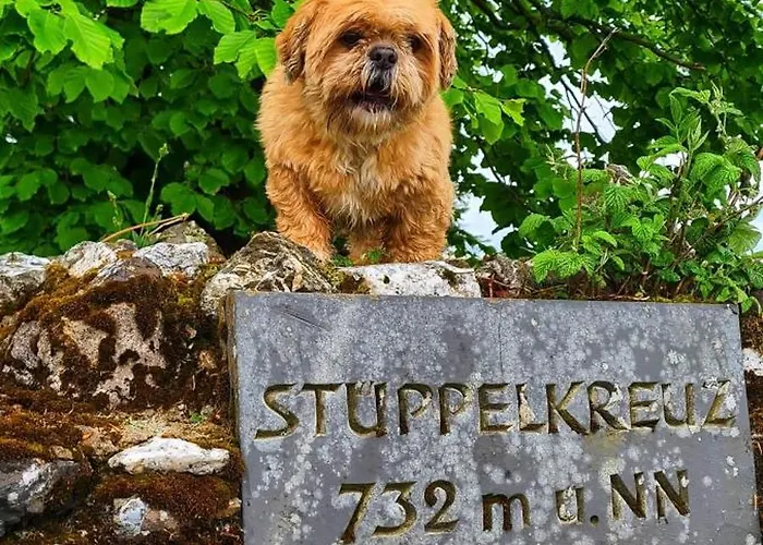 Dorfliebe Doernberg Waldblick *