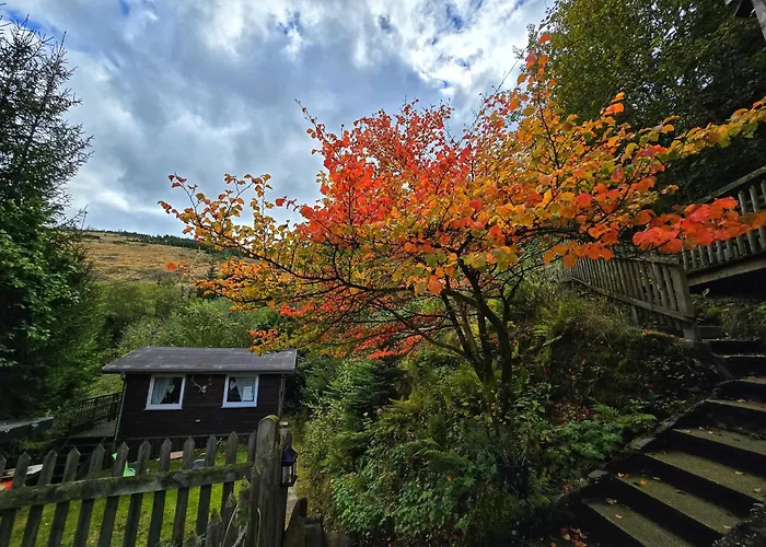 Dorfliebe Doernberg Waldblick *